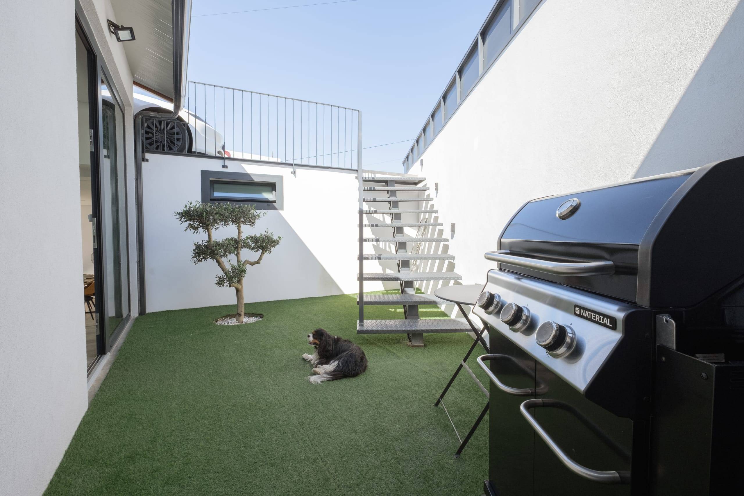 Patio with gas barbecue and a dog resting on the lawn